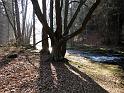 2014-03-09,_Polenztal (6)